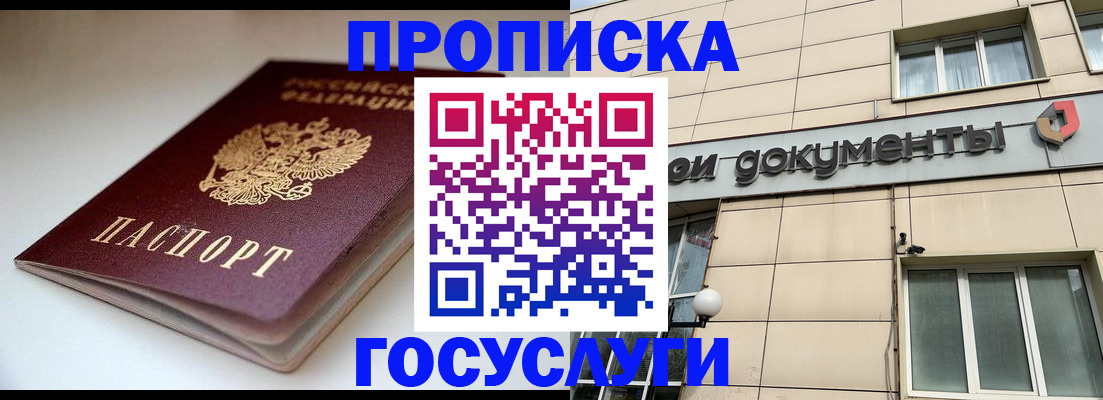 временная регистрация госуслуги в Никольском